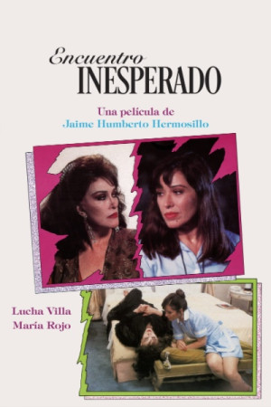 Encuentro inesperado (1993)