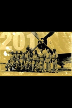 Escuadr&oacute;n 201