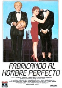 Fabricando al hombre perfecto (1987)
