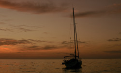 Faro