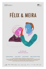 Félix and Meira (2014)