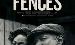 Fences