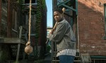 Fences