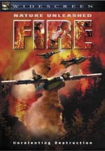 Fire: atrapados por la muerte (2004)