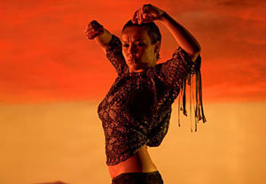 Flamenco, flamenco foto crítica.