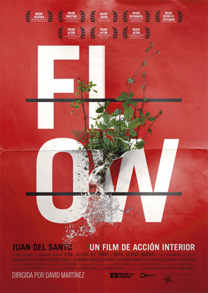 Flow (2014)