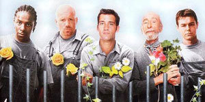 Flower Power (Como una regadera) foto crítica.