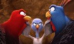 Free Birds (Vaya pavos)