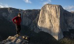 Free Solo