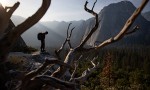 Free Solo