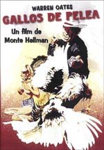 Gallos de pelea