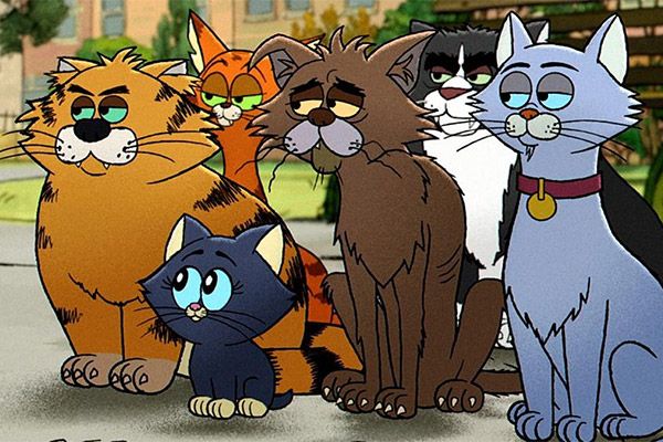 Gatos callejeros foto crítica.