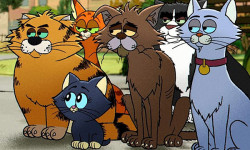 Gatos callejeros