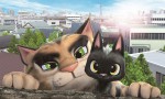 Gatos. Un viaje de vuelta a casa