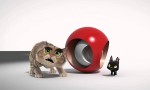 Gatos. Un viaje de vuelta a casa