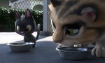 Gatos. Un viaje de vuelta a casa