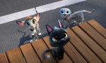 Gatos. Un viaje de vuelta a casa
