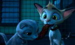 Gatos. Un viaje de vuelta a casa