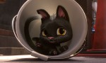 Gatos. Un viaje de vuelta a casa