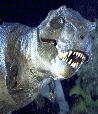 Lagarto, lagarto