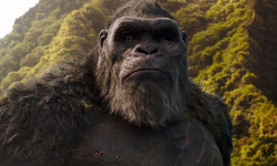 Godzilla vs. Kong
