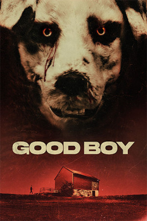 Good Boy