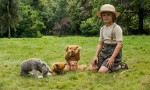 Adiós Christopher Robin