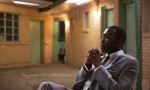 Green Book