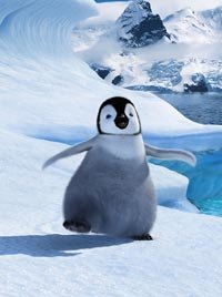 Bailando sobre el hielo