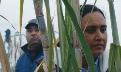 Historias del buen valle