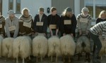 Rams, el valle de los carneros