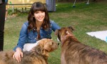I Love Dogs