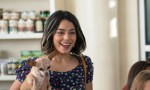 I Love Dogs