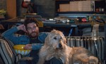 I Love Dogs