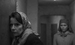 Ida