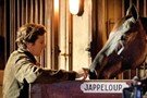 Jappeloup. De padre a hijo