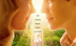 Todo por Grace