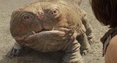 John Carter
