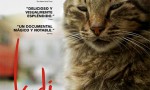 Kedi (Gatos de Estambul)