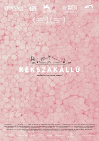 Kékszakállú (2016)