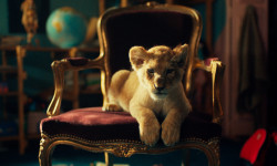 King, mi pequeño rey