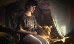 King, mi pequeño rey