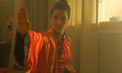 Kung Fu Zohra 