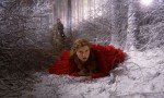 La Bella y la Bestia