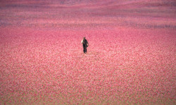 La casa de los espíritus