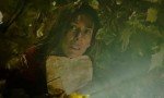 La hermandad (2013)