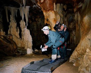 La cueva de los sueños olvidados foto crítica.