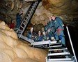 La cueva de los sueños olvidados