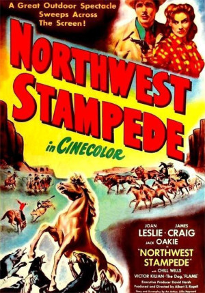 La estampida del noroeste