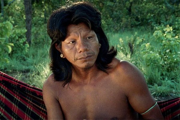 La flor del Burití foto crítica.